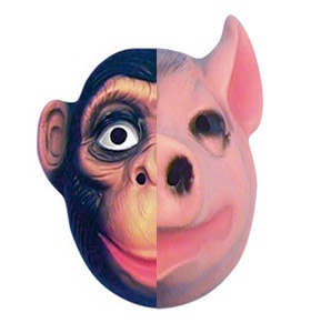 pig-chimp